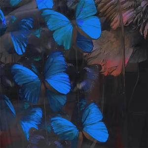 黑人猛操范丞丞
